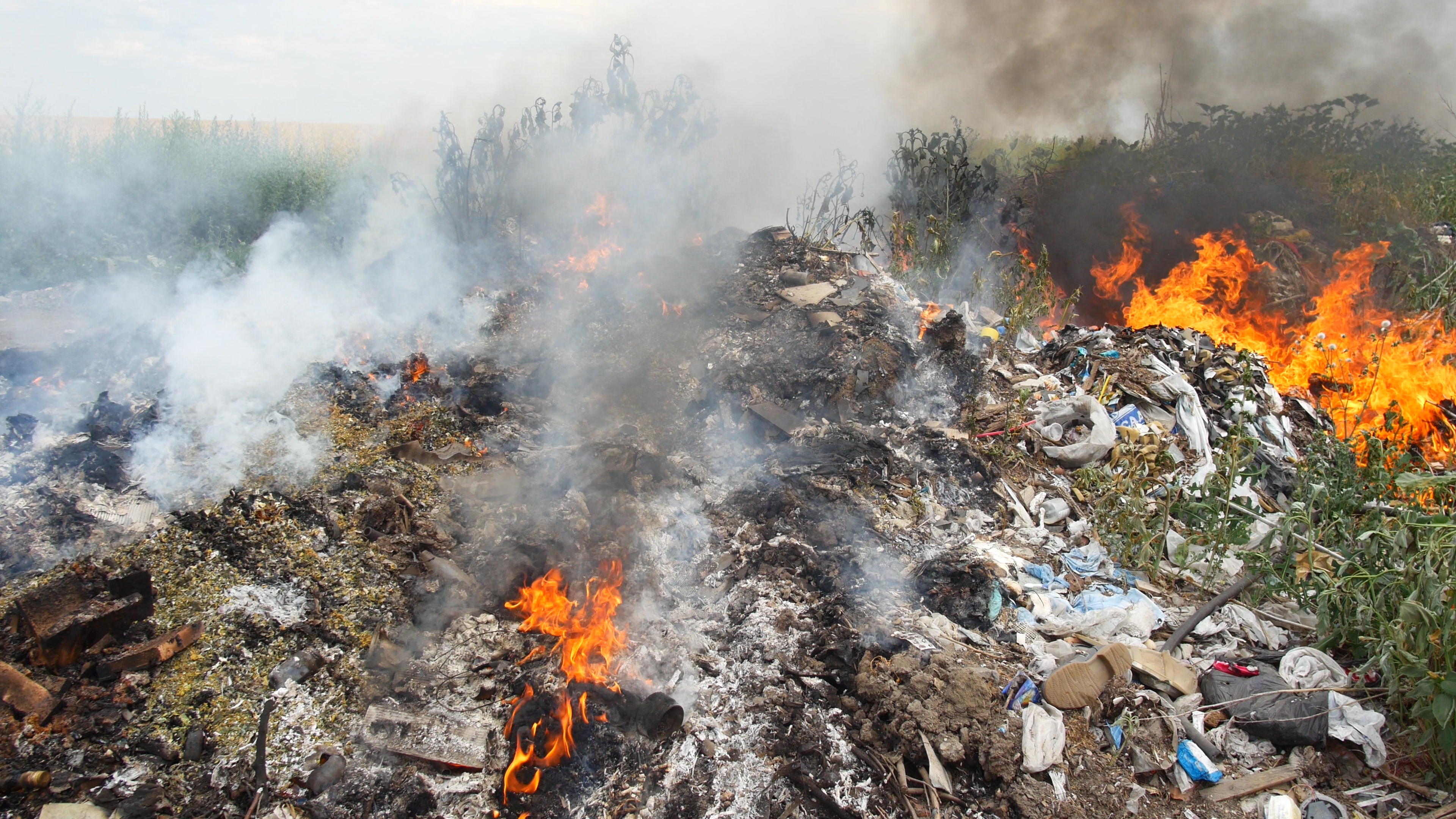 Gestione Olio Vegetale Esausto nel Decreto Terra dei Fuochi