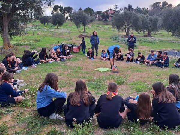civitanova scout piantumazione