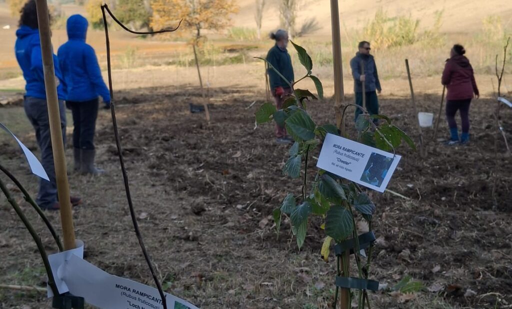 food forest jesi