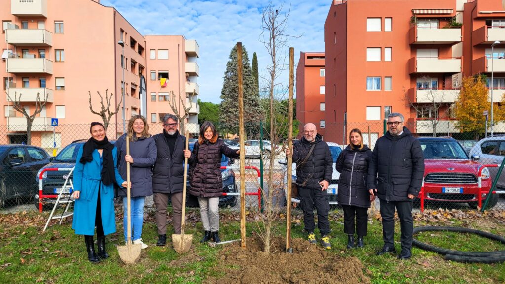 piantumazione verde senigallia