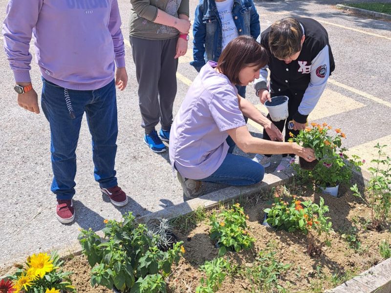 roseto piantumazione